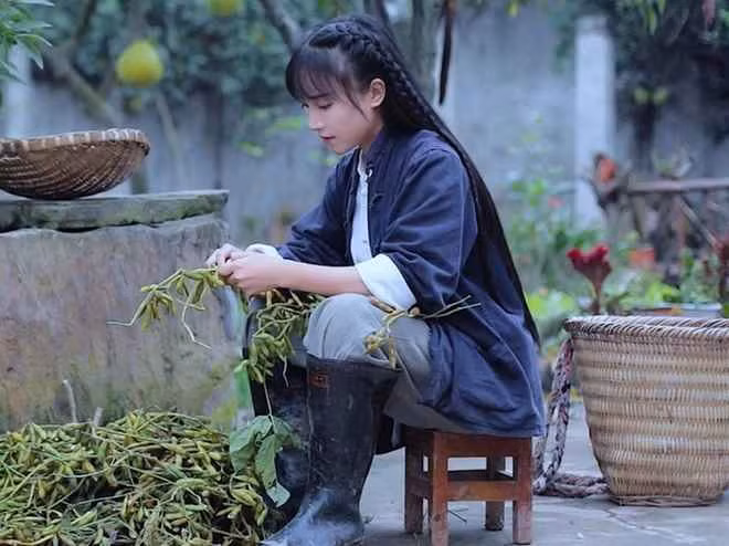 Người đẹp cho biết sau hai năm ngừng sản xuất video, cô tiếp tục dùng phương pháp của mình, mang lại những nội dung hay về đồng quê, kể chuyện về văn hóa nông nghiệp truyền thống Trung Quốc.