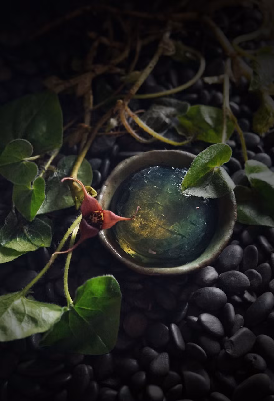 10 mon trang mieng danh lua con mat, ha guc con tim-Hinh-7