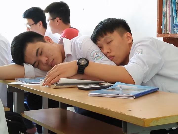 "Súng bên súng, đầu sát bên đầu" - Đang ôn bài thơ Đồng chí thì có hai cậu học sinh cũng ngủ gục theo. (Ảnh: Fanpage Trường người ta)