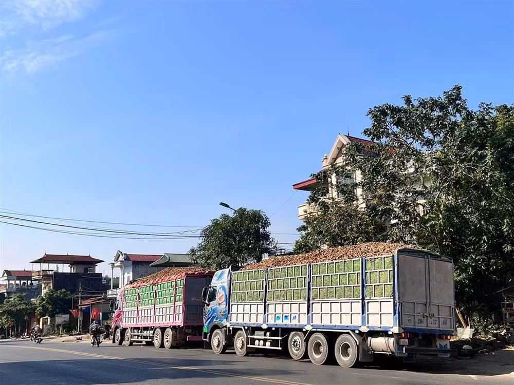 "Bố lái xe, mẹ đi theo phụ ghi sổ sách. Mẹ kể, khi tôi mới sinh được 2 tháng tuổi, mẹ đã bế tôi đi theo những chuyến xe trong ngày", nữ tài xế xinh đẹp nói.