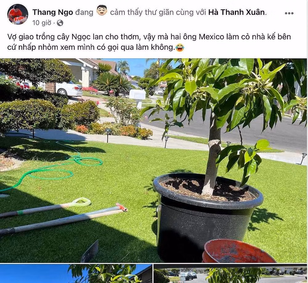 Nguyên nhân đến từ lời khen của Thắng Ngô: “Thật sự có nhiều điều làm mình phải nghiêm túc suy nghĩ. Môi trường sống, nhiệt độ, thời tiết phải nói là tuyệt vời".