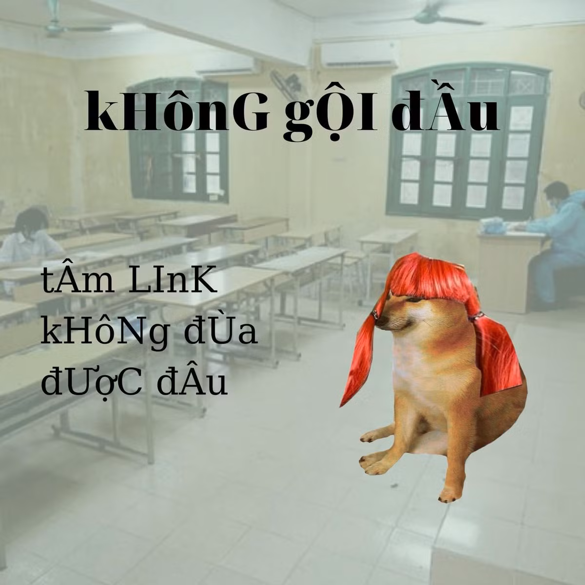 Với nhiều "người chơi hệ tâm linh" việc gội đầu trước ngày thi là điều không nên. Còn vì sao lại vậy thì có lời giải thích rằng sợ sẽ xả hết kiến thức.