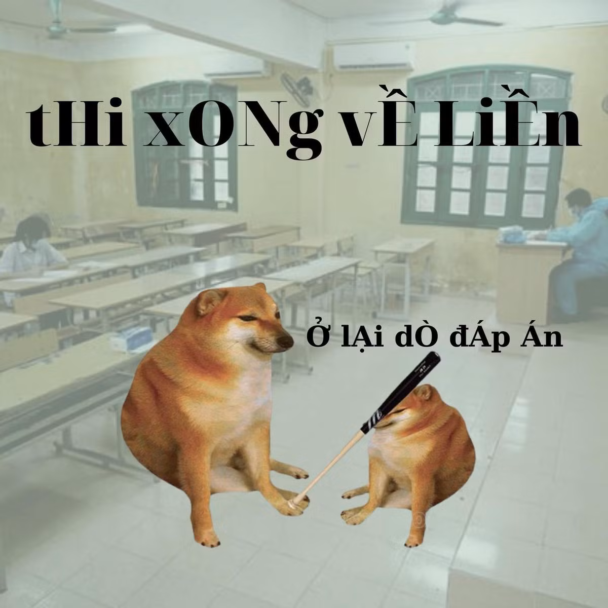 Với nhiều người, thói quen thi xong ở lại dò đáp án là điều thường xuyên. Tuy nhiên, với tình hình dịch bệnh thì các sĩ tử nên về thẳng nhà.