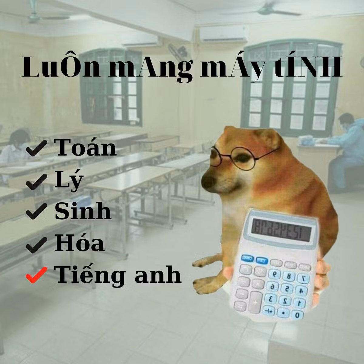Máy tính là dụng cụ không thể thiếu trong các môn thi như Toán, Hóa, Sinh, Vật lý và cả... Tiếng Anh để chia động từ.