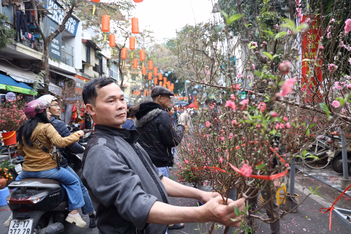 Một phần dẫn tới việc khách hàng "chậm chốt đơn" hơn so với mọi năm bởi giá các mặt hàng năm nay có cao hơn so với mọi năm. Điều này đến từ việc cây cảnh bị ảnh hưởng bởi cơn bão số 3 Yagi hồi tháng 9/2024.