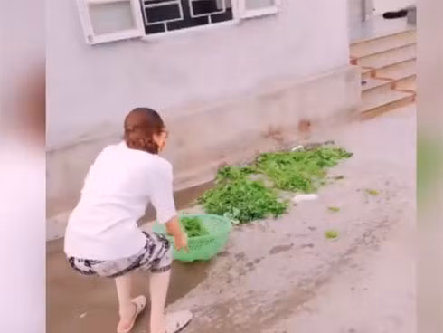 Cụ thể trong đoạn clip, một cô gái có vẻ ngoài xinh xắn, trên tay cầm rổ rau và chuẩn bị cho màn "thi triển". Tuy nhiên khi vừa đưa lên, rau đã bay sạch ra ngoài.