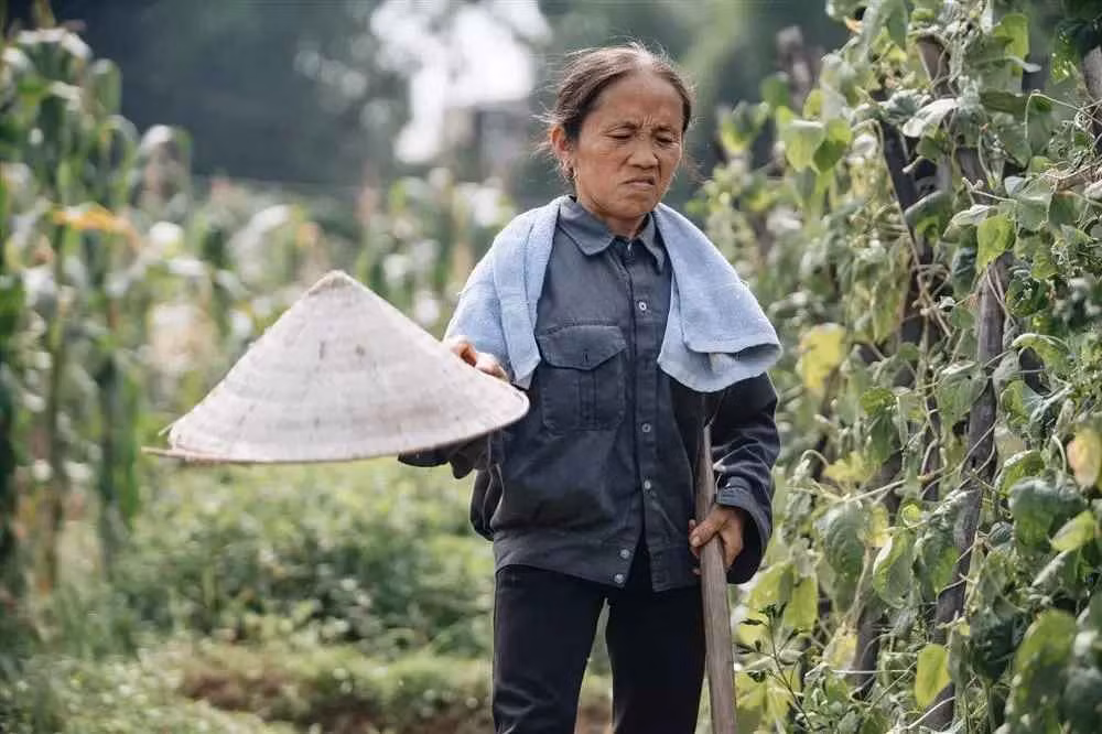 Bà Tân Vlog lộ mặt đơ cứng không nhận ra Ba Tan Vlog lo mat do cung khong nhan ra