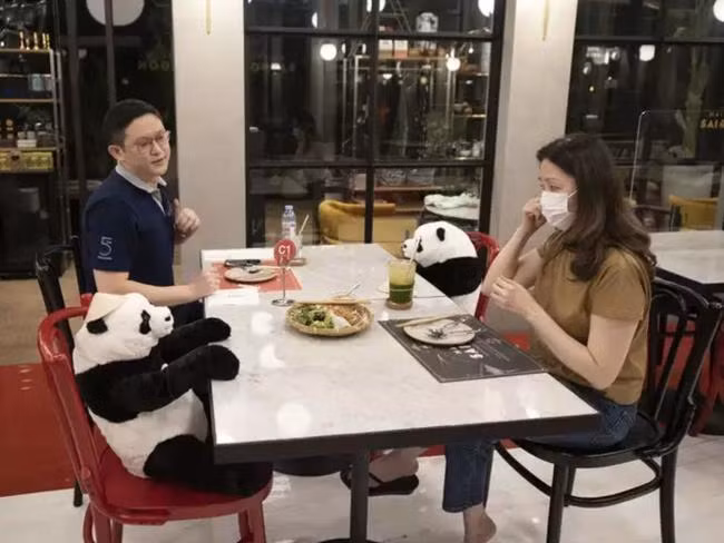 Theo chủ cửa hàng Việt Nam tại Thái Lan chia sẻ, đây là vài con gấu bông đặt trưng bày ngoài tiệm, đến khi cần thực hiện quy tắc không ngồi ăn cạnh nhau, anh mới mua thêm để vào những chiếc ghế trống.