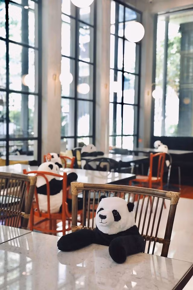 Cũng theo chia sẻ của chủ nhà hàng, anh và bạn trai là fan của bộ phim Kungfu Panda và thường sưu tầm các món đồ có hình chú gấu này.