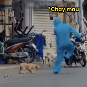 Trong khi số khác hài hước nhận định, chàng nhân viên y tế chống dịch này đã chọn cách thư giãn có phần “sai sai” vì số cún cưng này không hề hiền chút nào, sẵn sàng đuổi theo đối phương một cách nhiệt tình.