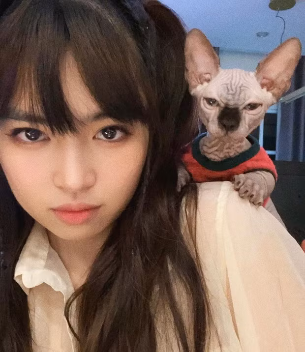 Trong thời kỳ dịch COVID-19 có những diễn biến phúc tạp thì cơm nhà vẫn là sự lựa chọn tuyệt vời nhất dành cho tất cả mọi người. Đây cũng là dịp để các trai xinh, gái đẹp thể hiện sự đảm hay đoảng của mình và cái tên mới nhất góp mặt vào cuộc chơi này là hot girl Mắt Biếc - Đỗ Khánh Vân.