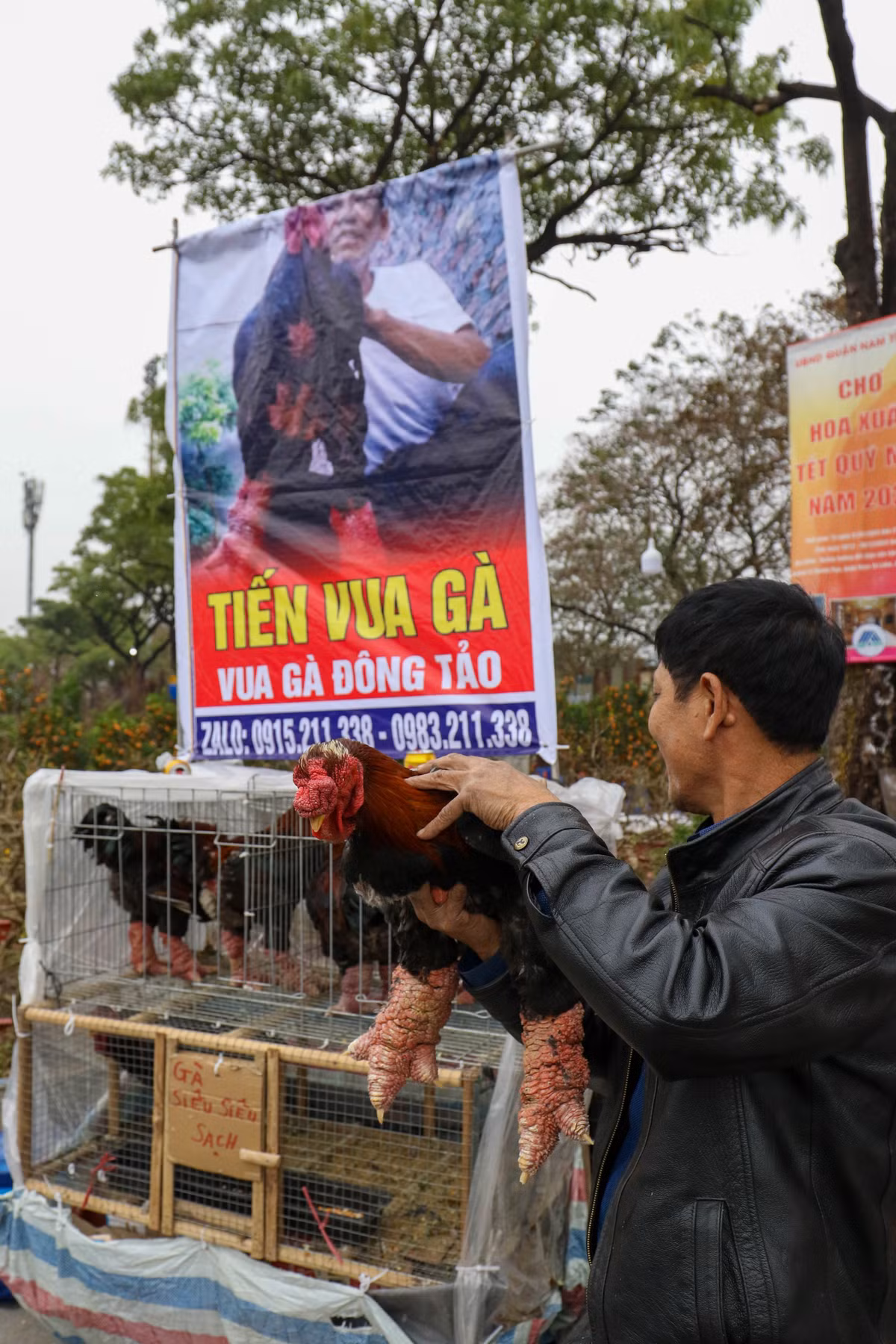 Gà Đông Tảo cũng là thứ được nhiều người tìm mua mỗi khi dịp Tết về. Anh Phước - tiểu thương kinh doanh mặt hàng "Gà tiến vua" cho biết: "Mọi năm tầm giờ này nhà tôi bán cả trăm triệu tiền hàng/ ngày. Nhưng năm nay mọi thứ chỉ còn 1/5. Giá bình thường tầm 3.000.000 đồng cho 1 con gà 5kg giờ giảm còn 2.000.000 đồng mà chẳng có khách... Khách đa phần lui tới gian hàng nhà tôi chỉ xem vì lạ còn những khách quen thì cũng không thấy gọi điện.