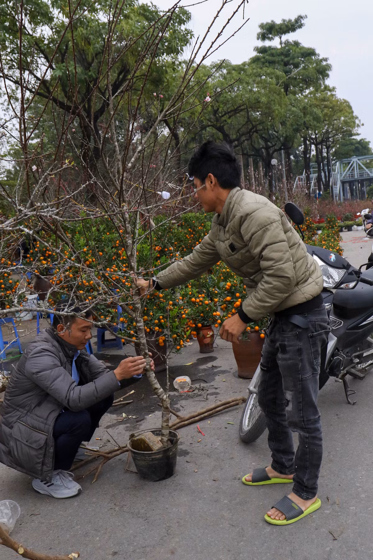 Cảnh buôn bán đìu hiu chiều 28 Tết Nhâm Dần khiến các tiêu thương buồn bã.