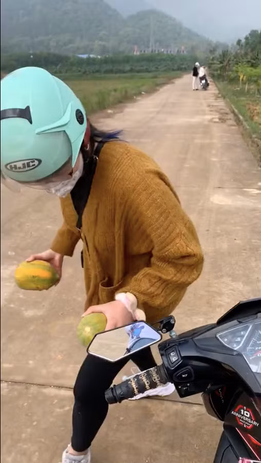 Dù đã bẻ được kha khá bắp ngô nhưng nhóm này không có ý định dừng lại. Cô gái mặc váy hoa tiếp tục đi sâu vào ruộng ngô để bẻ tiếp.