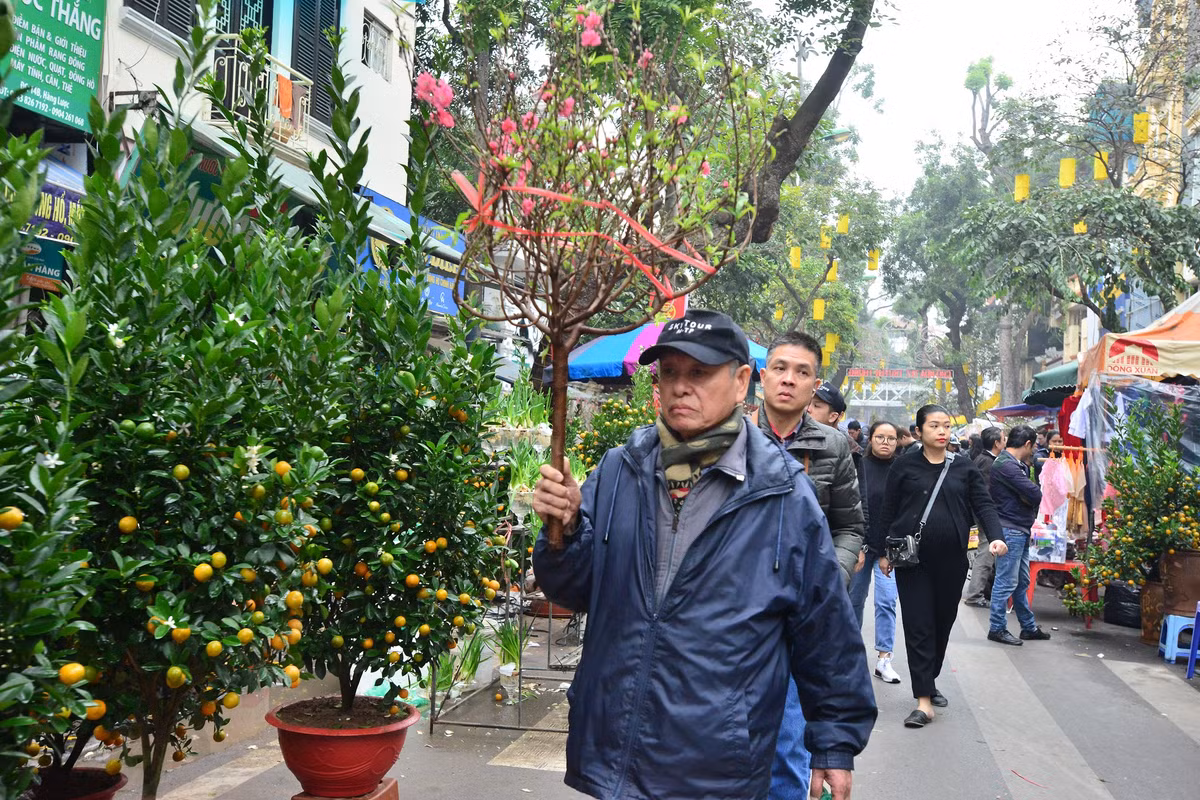 Chợ hoa Tết tập nập “kẻ bán, người mua” đến ngày cuối cùng năm Âm lịch Cho hoa Tet tap nap “ke ban, nguoi mua” den ngay cuoi cung nam Am lich