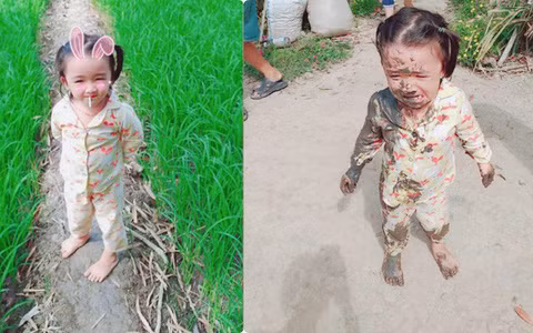 Cô bé đi ra thăm ruộng nhưng ai ngờ nhận ngay cái kết đắng.