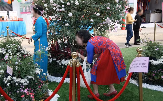 Mặc dù vậy, những hình ảnh tạo dáng "sống ảo" trên cỏ, hoa này vẫn đang khiến dân mạng chỉ trích dữ dội.