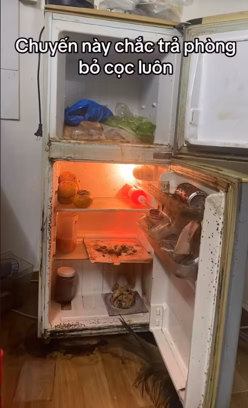 Cẩn thận tắt hết điện phòng cháy nổ bất ngờ ở phòng trọ nhưng lại quên rằng trong tủ lạnh vẫn còn đồ... và cái kết ngày trở lại thật kinh khủng.
