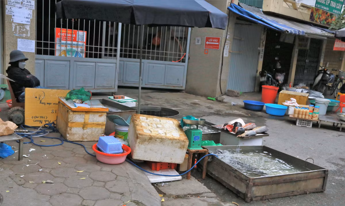 Ghi nhận tại các chợ dân sinh ở Hà Nội, nhiều hàng quán đã mở cửa, chủ yếu là bán rau xanh, bún, bánh phở, trái cây, hàng ăn nhanh…