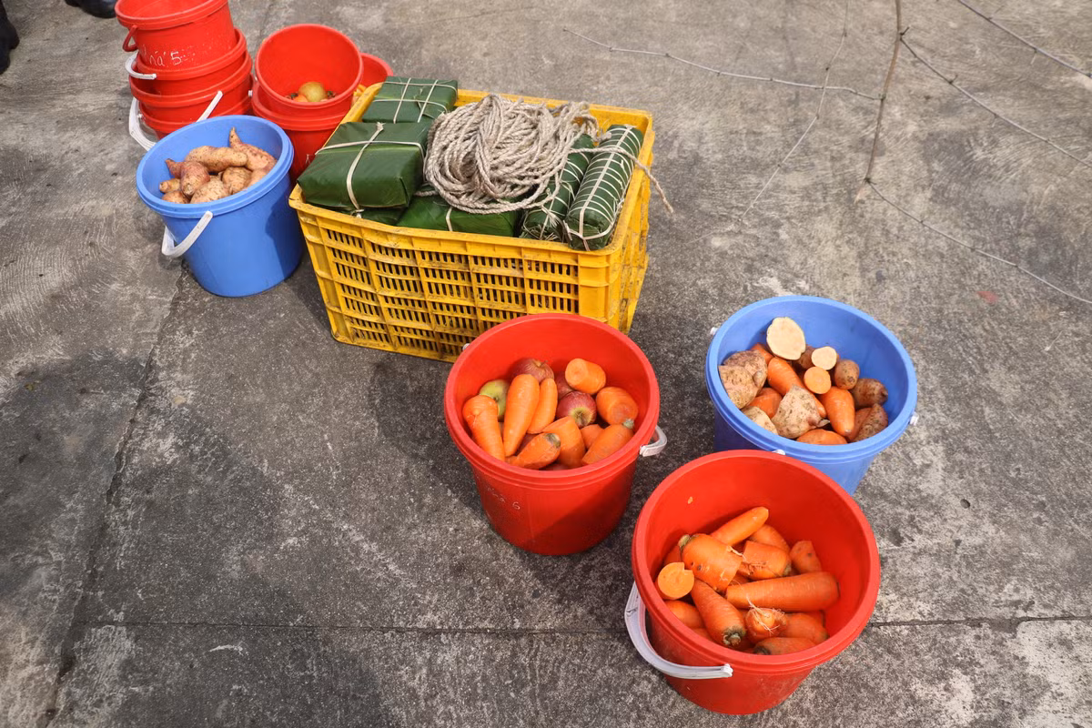 Những loại thức ăn yêu thích của gấu được các nhân viên Trung tâm Cứu hộ Gấu Việt Nam chuẩn bị.