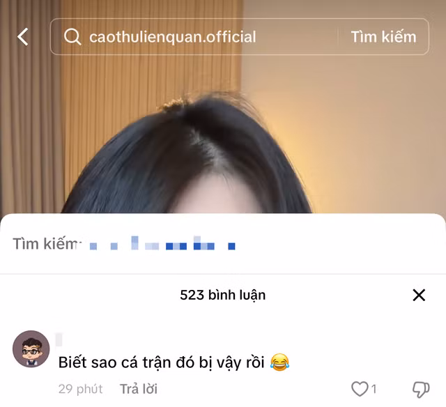 Không ít người cho rằng Quỳnh Alee lợi dụng danh tiếng của bạn trai tuyển thủ, sẽ ảnh hưởng đến phong độ thi đấu của người chơi Liên Quân này.
