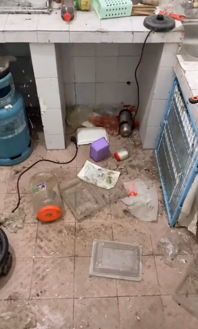 Bên cạnh đó, chủ đoạn clip trở lại phòng trọ bẩn sau 5 tháng, Phạm Huy cho biết: "Lúc mở cửa phòng ra mình chỉ muốn đóng lại rồi quay về tiếp thôi. Ngoài những gì có trong clip thì còn 10kg gạo bị mốc, dây máy bơm nước bị chuột cắn đứt, đệm cũng thành chỗ ngủ của chuột luôn. Hiện tại mình đã mất 1 ngày trời để lau dọn mà vẫn chưa xong".