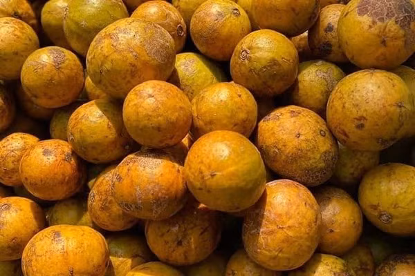 Dac san Ha Noi ngay cuoi mua, khach tranh mua an de den sang nam
