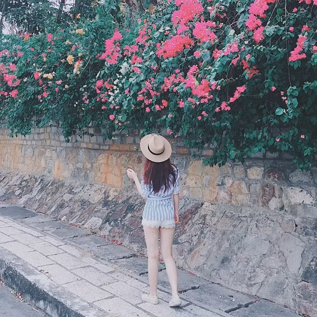 Đây không phải là nơi check-in với hoa duy nhất ở Vũng Tàu đâu. Con đường đi làng Bình An lên ngọn Hải Đăng cũng có rất nhiều hoa giấy.