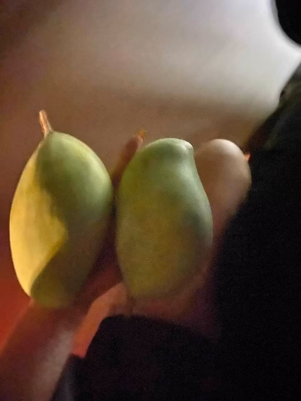 Dù bị chủ nhà phát hiện màn trộm xoài nhưng thành quả của anh chàng vẫn là 2 trai to đùng và giải quyết được bài toán thèm xoài chua lúc nửa đêm của người yêu.