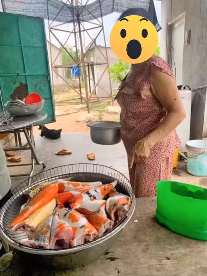 Ai cũng thấy may mắn cho người vợ vì đàn cá còn nguyên vẹn, nếu có chuyện gì xảy ra thì chẳng biết phải nói với anh xã như thế nào.