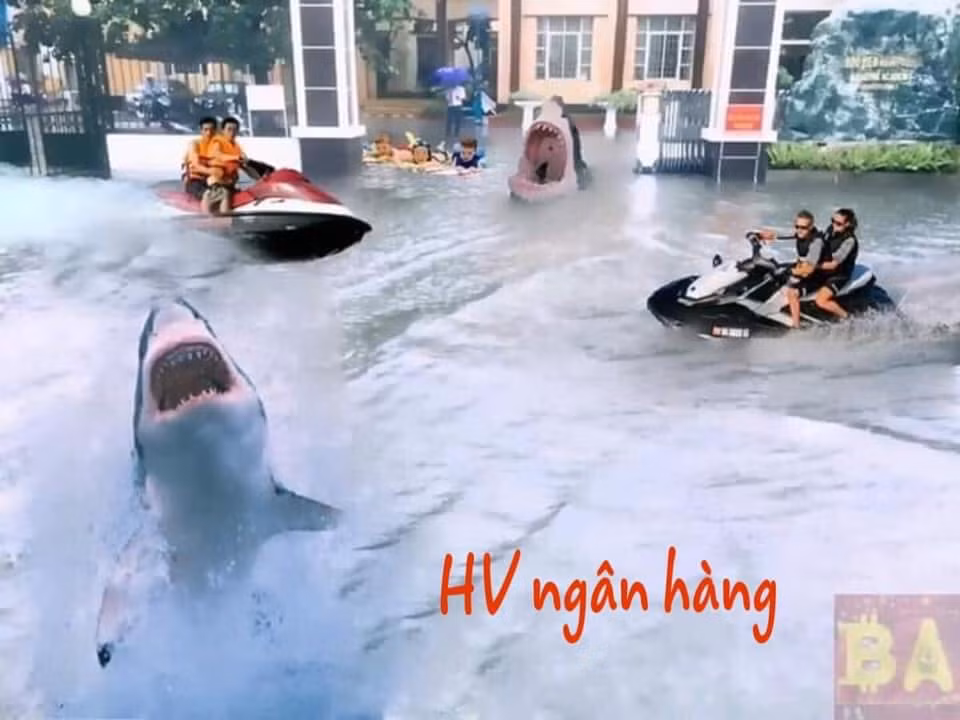 Không chỉ là những bức ảnh sân trường đại học ngập nước bình thường mà dân mạng còn "vui tay" chế thêm để cho tác phẩm trở nên sinh động.