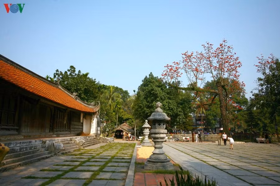 Cây gạo cổ thụ ở trước chùa Cả. Nơi đây là một khoảng sân rộng, là sân lễ hội cũng như là nơi khán giả xem múa rối nước ở thủy đình trên hồ.