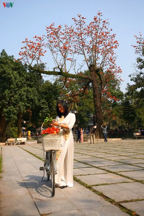 Và những cô gái tha thướt trong những tà áo dài không bỏ lỡ cơ hội để ghi lại những hình ảnh đáng nhớ.