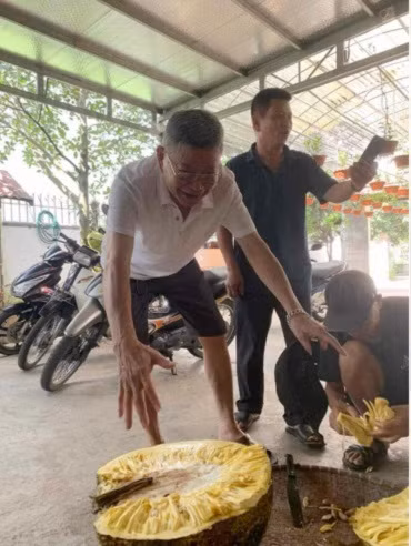 Cây mít dai đặc biệt này được ông Thiệu trồng cách đây 8 năm nhưng khoảng 3 năm trở lại đây mới ra quả. Những năm trước, mỗi mùa cây mít cho khoảng hơn 10 quả, quả nặng nhất khoảng 37kg.