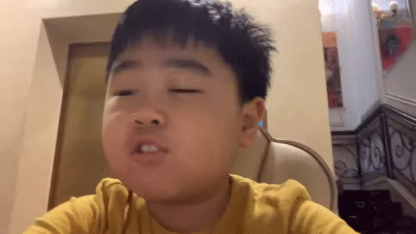 Hằng Hữu từng khẳng định sử dụng tiếng Việt không tốt vì chỉ giỏi tiếng Anh.
