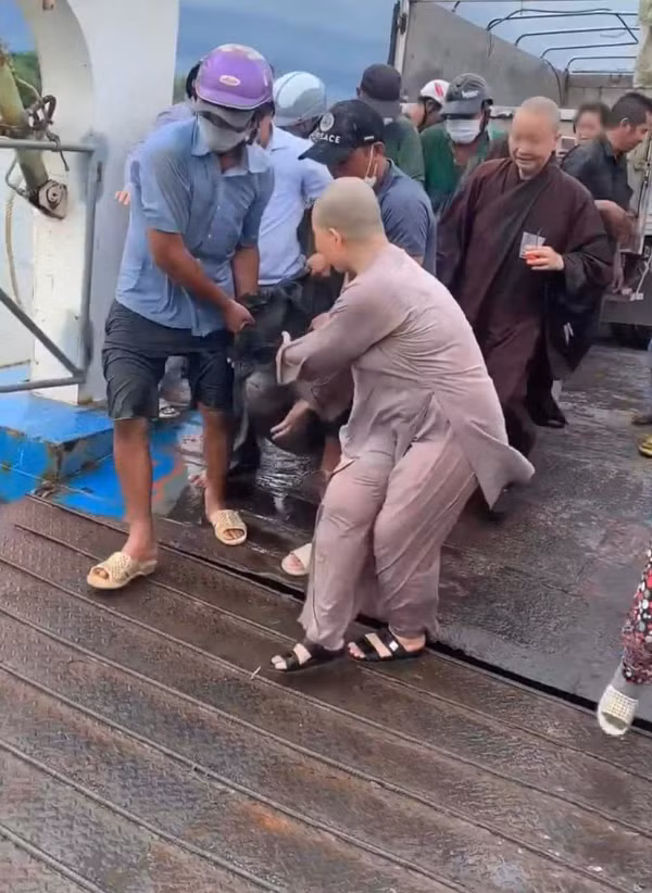 Phóng sinh cá hải tượng long, netizen tranh cãi làm thiện hay gây hại Phong sinh ca hai tuong long, netizen tranh cai lam thien hay gay hai