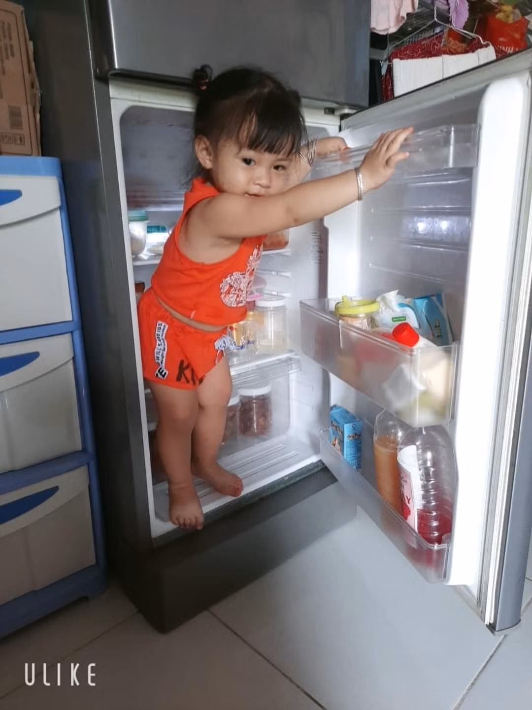 Dù là bé trai hay bé gái thì đều cùng chung sở thích là thích leo trèo ở bất cứ đâu.