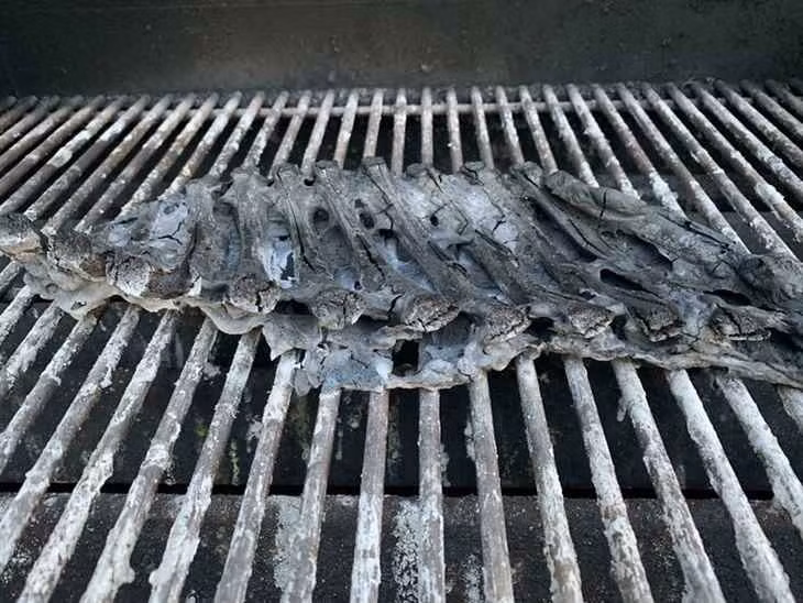 Món sườn nướng BBQ nay đã thành tàn tro.
