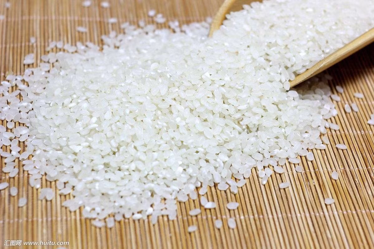 Nguyên nhân thứ hai là do sau khi thu khoạch, gặp điều kiện thời tiết bất lợi, lúa phơi không được nắng dẫn đến gạo bị đổi màu vàng.