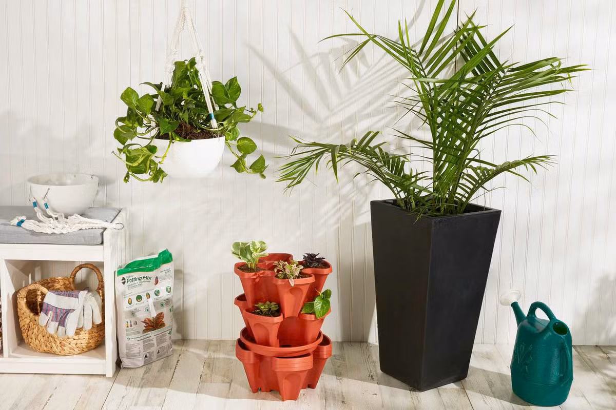 Đặt một số cây xanh phân chia khu vực: Dù bạn là người có kinh nghiệm trồng cây hay mới bắt đầu, bạn có thể cân nhắc sử dụng cây trồng trong chậu để mang lại sự riêng tư hơn cho ngôi nhà của mình.