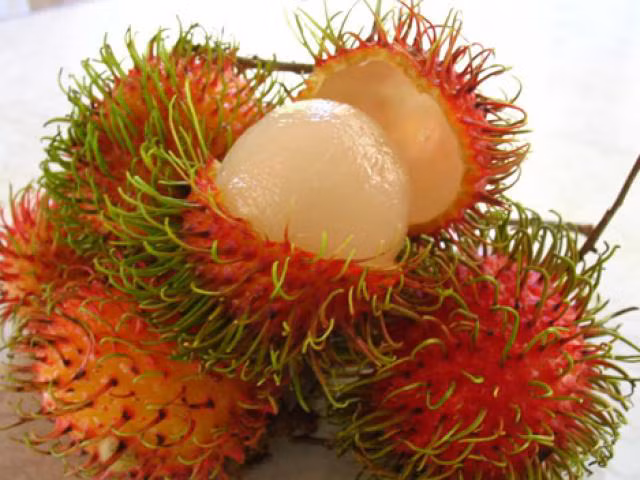 Mẹo chọn chôm chôm hạt nhỏ mà lại dày cùi, ngọt lịm như ý - Hình 2 Meo chon chom chom hat nho ma lai day cui, ngot lim nhu y-Hinh-2