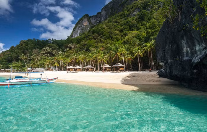 Bãi biển cát trắng trải dài với những hàng cọ.