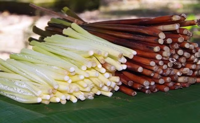 Từ loại rau miền Tây xưa mọc không ai hái, giờ đây chúng đã trở thành đặc sản nổi tiếng. Trên chợ mạng, chúng được rao bán với giá dao động từ 60.000 – 80.000 đồng/kg
