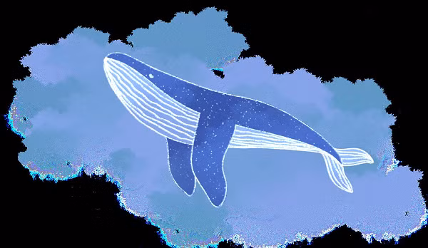 Tuy nhiên, "52 Blue" vẫn luôn kiên trì cất tiếng gọi giữa đại dương bao la từ năm này qua năm khác. Không ai chắc chắn tại sao 52 Blue lại hát ở tần số bất thường này. Một số nhà sinh vật học đưa ra giả thuyết rằng chú cá voi này có thể bị dị hình theo một cách nào đó hoặc là con lai của hai loài cá voi.