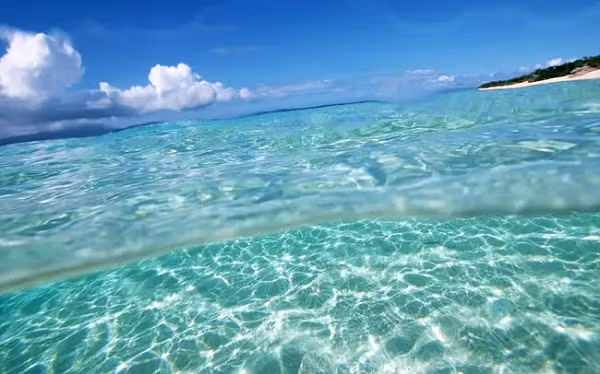 99% không gian sinh sống trên Trái đất là biển.