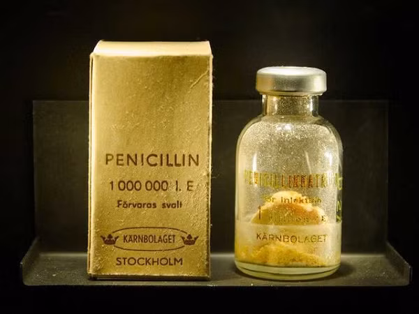 Một nhà khoa học tên Alexander Fleming nhận thấy một đĩa cấy vi khuẩn trong phòng thí nghiệm mà ông đã bỏ đi không dùng đến bỗng xuất hiện một loại nấm có khả năng phân rã toàn bộ vi khuẩn xung quanh nó. Khi được cấy ghép và nuôi dưỡng trong môi trường riêng, ông khám phá ra một nhân tố kháng sinh bên trong - penicillin - có thể được dùng để điều trị rất nhiều loại bệnh lây lan cũng như viêm nhiễm.