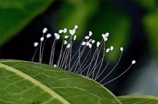Người sinh tháng Âm lịch này đón gặp Thần Tài trong tháng 9 - Hình 9 Nguoi sinh thang Am lich nay don gap Than Tai trong thang 9-Hinh-9