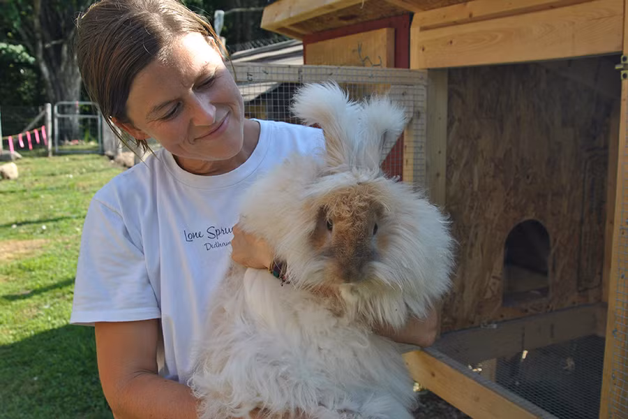 Mỗi tháng, lông của thỏ Angora có thể dài khoảng 2,5cm. Lông của thỏ Angora được dùng để làm ra loại len có tên là Angora. Loại len này mềm, mịn, mỏng và bông nhưng không đủ độ bền cần thiết.