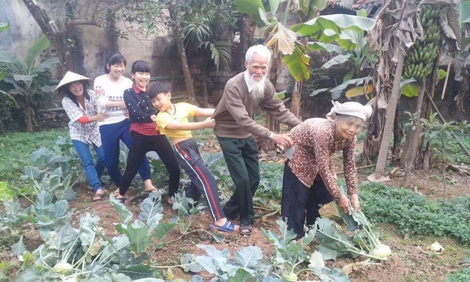 Cả nhà nhổ xu hào.