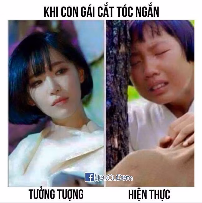 Tưởng tượng và hiện thực.